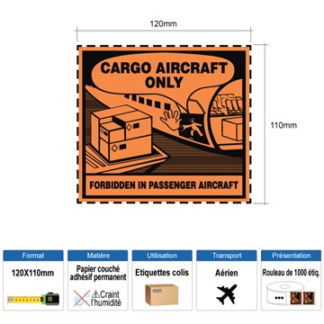 Étiquette Cargo Aircraft Only-CB-140X100MM-RLX1000EX.