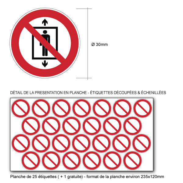 Pictogramme INTERDICTION D'UTILISER CET ASCENSEUR POUR DES PERSONNES  - P027 - ISO 7010