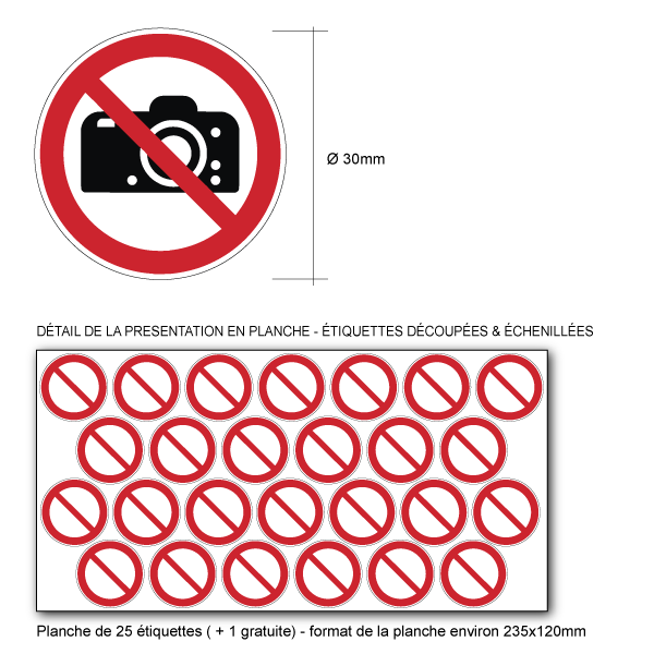 Pictogramme INTERDICTION DE PHOTOGRAPHIER - P029 - ISO 7010